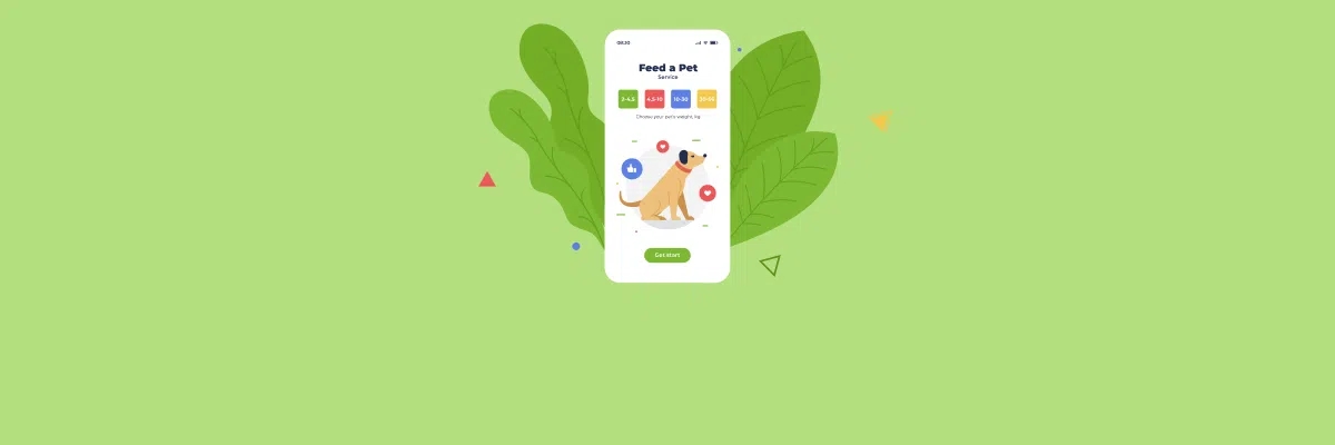 How to Develop an Internet of Things Application for Pet Care